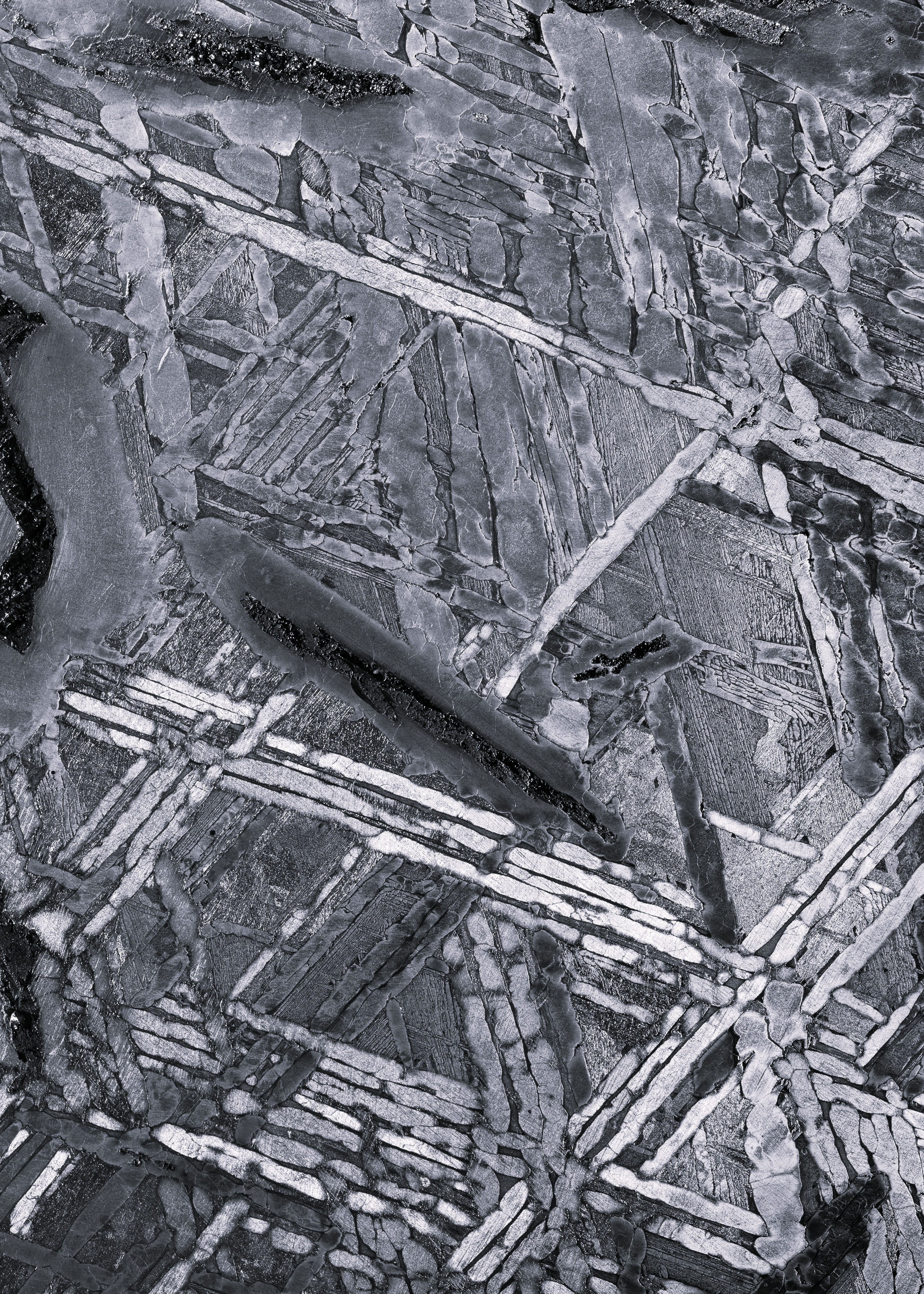 A DIFFERENTIATED AND HOLISTIC APPROACH.