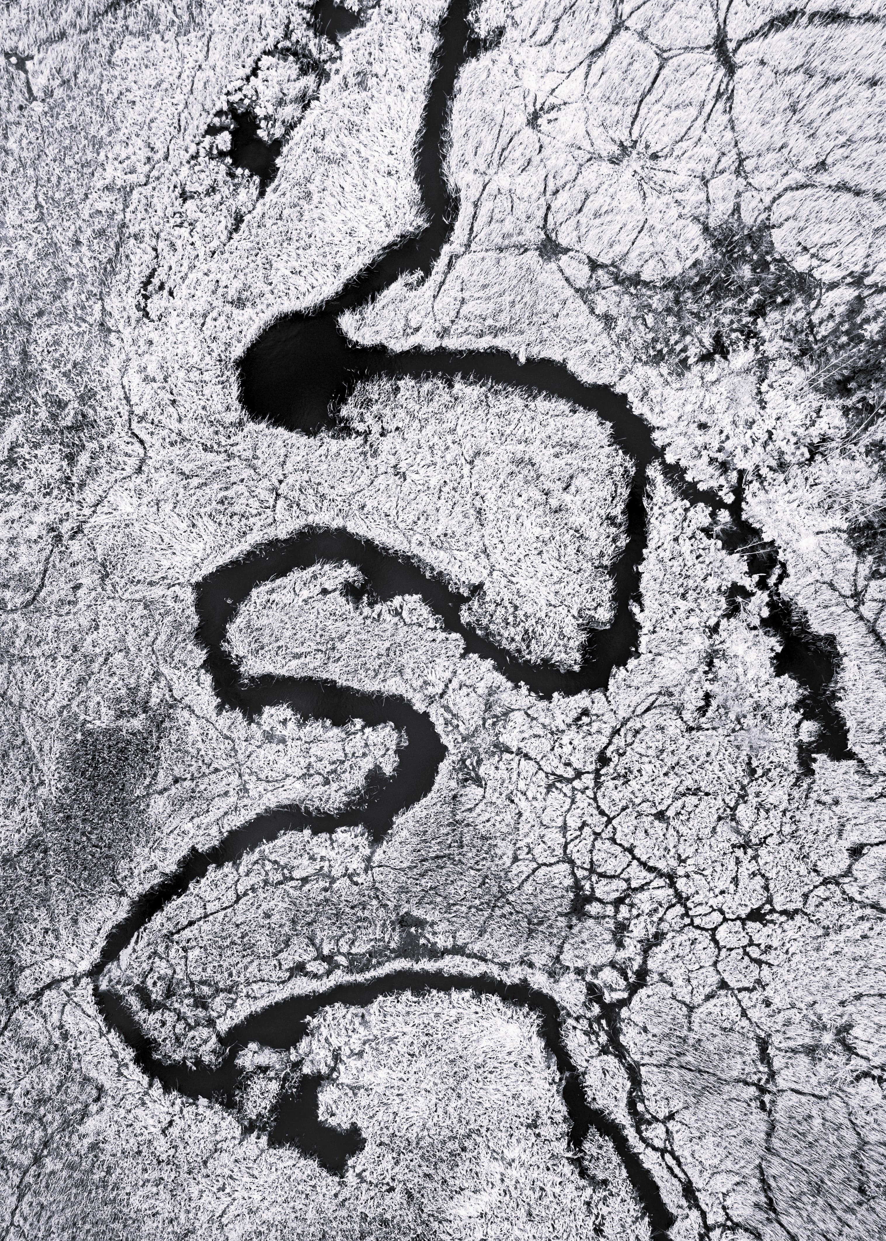 Global Reach and Connectivity