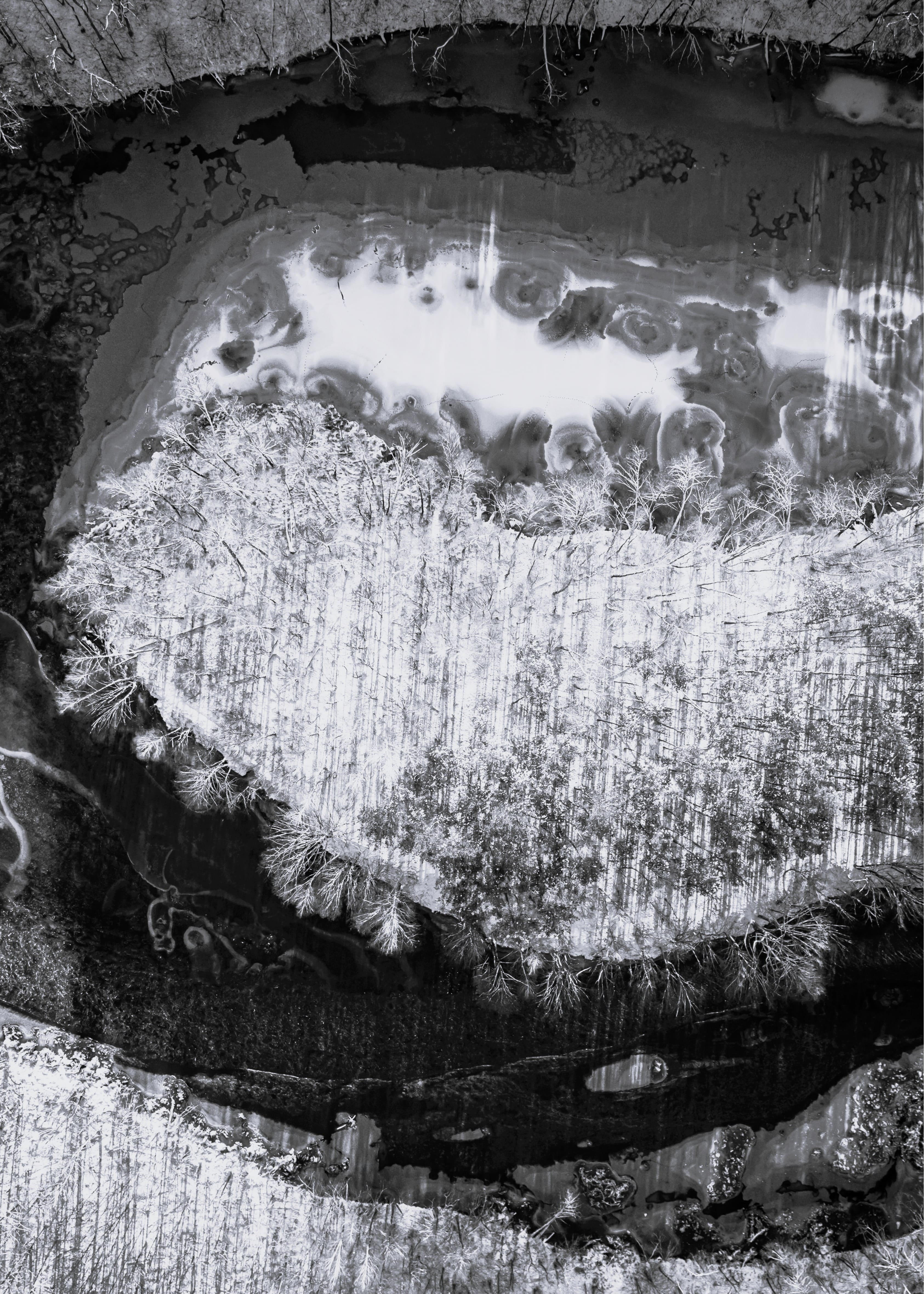 Sector Expertise Verticals